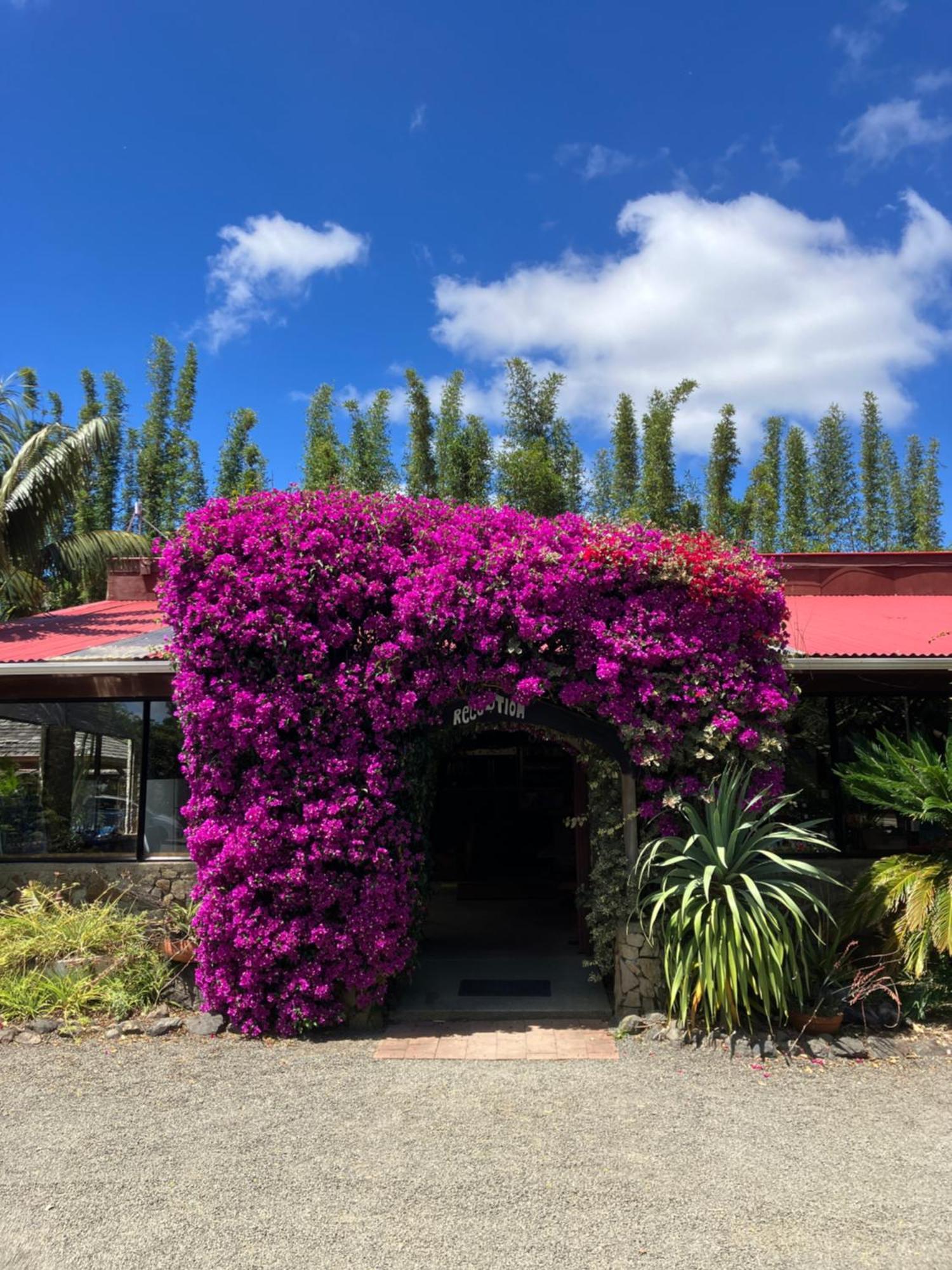 Ahipara Holiday Park Exteriér fotografie