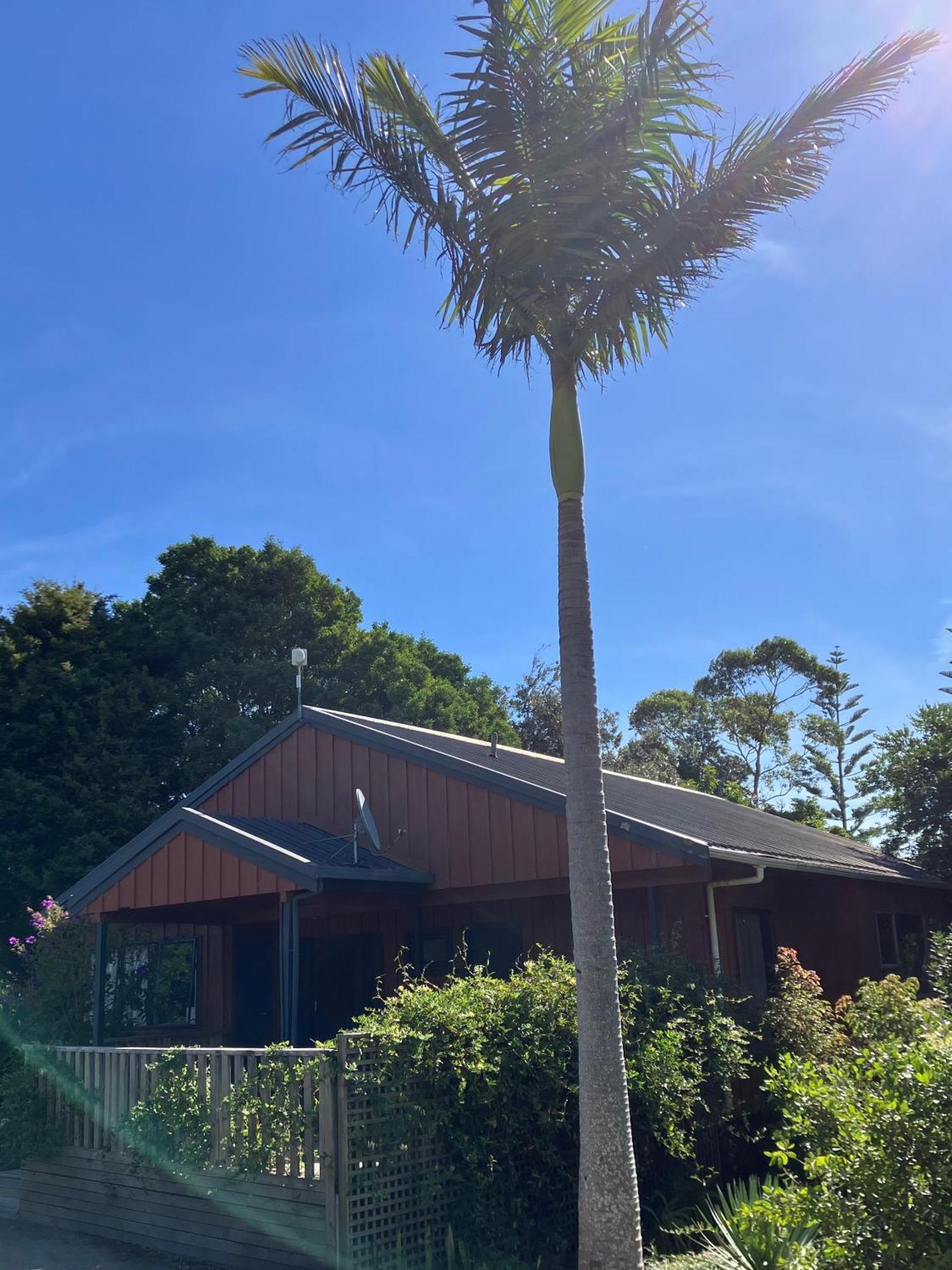 Ahipara Holiday Park Exteriér fotografie
